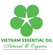 Essential Oil Vietnam
